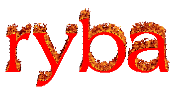 ryba